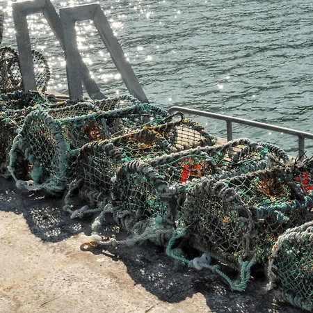 Spacious House With Sea And Mountain Views, Co. Kerry Vakantiehuis Kells (Kerry)