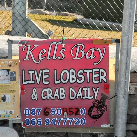 Spacious House With Sea And Mountain Views, Co. Kerry Kells (Kerry)