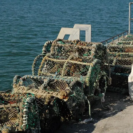 Vakantiehuis Spacious House With Sea And Mountain Views, Co. Kerry Kells (Kerry)