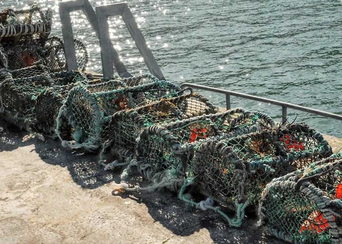 Spacious House With Sea And Mountain Views, Co. Kerry Feriehus Kells (Kerry)