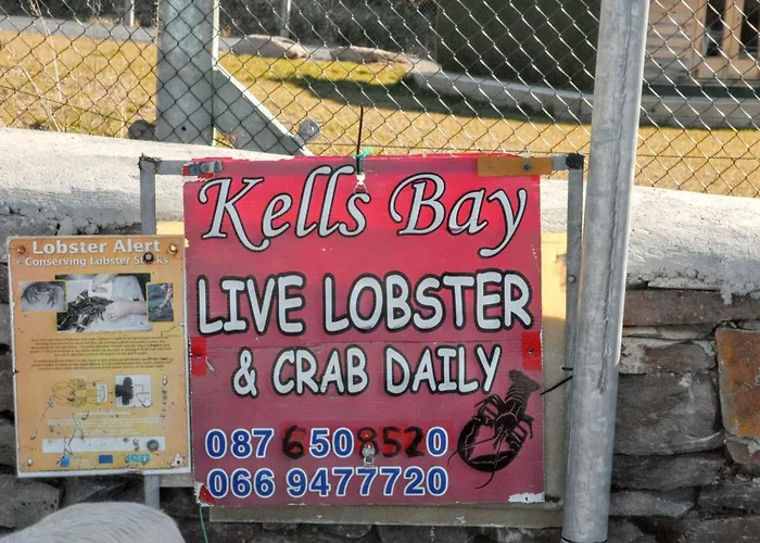 Spacious House With Sea And Mountain Views, Co. Kerry Kells (Kerry)